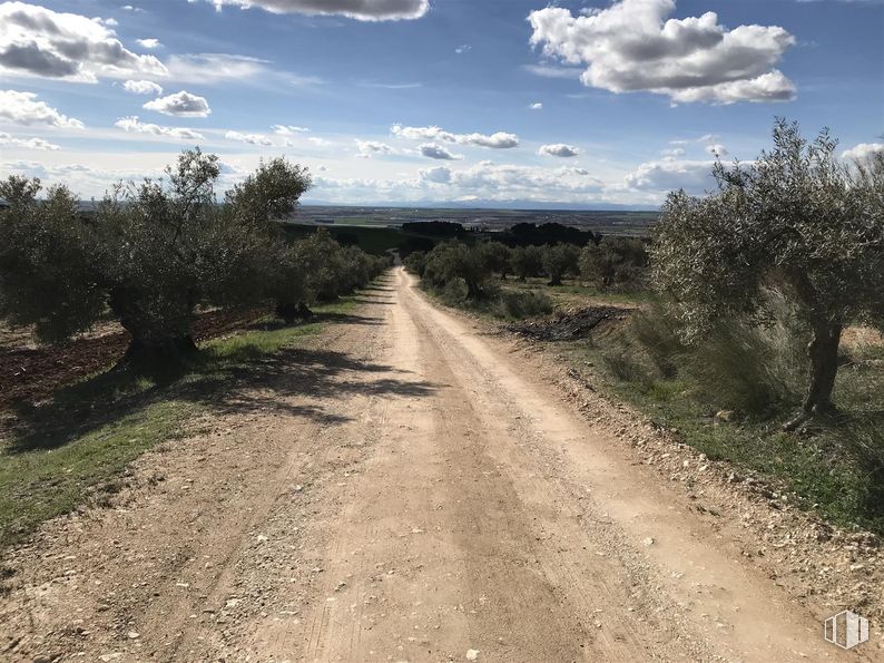 Land for sale at Finca Valdeapa, Chiloeches, Guadalajara, 19160 with sky, cloud, plant, plant community, ecoregion, natural landscape, road surface, land lot, vegetation and asphalt around