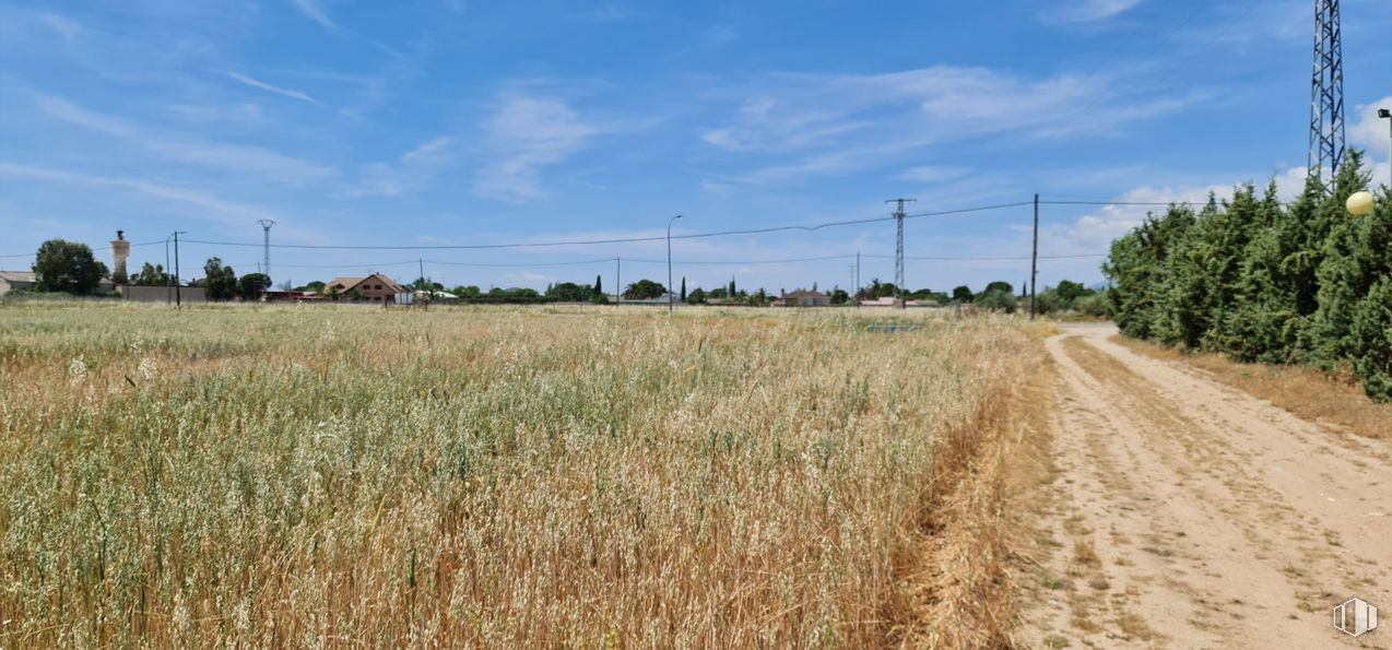 Land for sale at Zona N-403a, Escalona, Toledo, 45910 with cloud, sky, plant, natural landscape, tree, land lot, overhead power line, grass, agriculture and grassland around