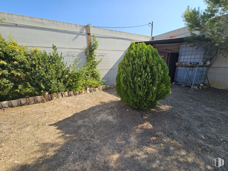 Land for sale at Zona Francisco Pizarro, La Puebla de Almoradiel, Toledo, 45840 with shrub, woody plant, conifers, evergreen, landscaping, cupressaceae, driveway, pine family, juniper and fir around