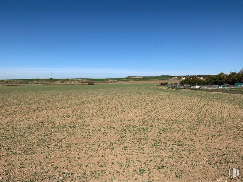 Suelo en venta en Carretera M-225, Loeches, Madrid, 28890 con cielo, planta, paisaje natural, árbol, agricultura, hierba, pradera, llano, horizonte y paisaje alrededor