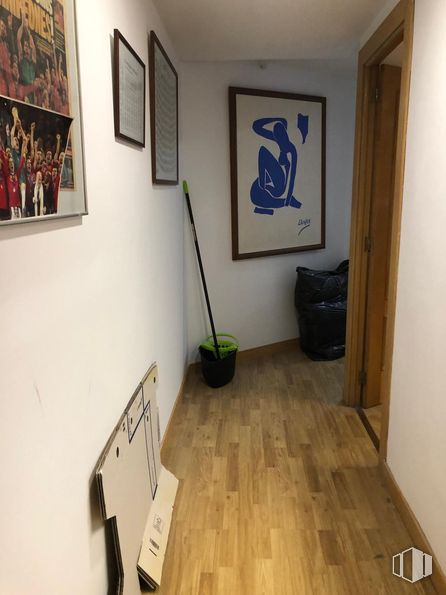 Retail for rent at Calle San Agustín, Las Rozas de Madrid, Madrid, 28230 with picture frame, interior design, wood, art, floor, wall, flooring, paint, hardwood and plant around