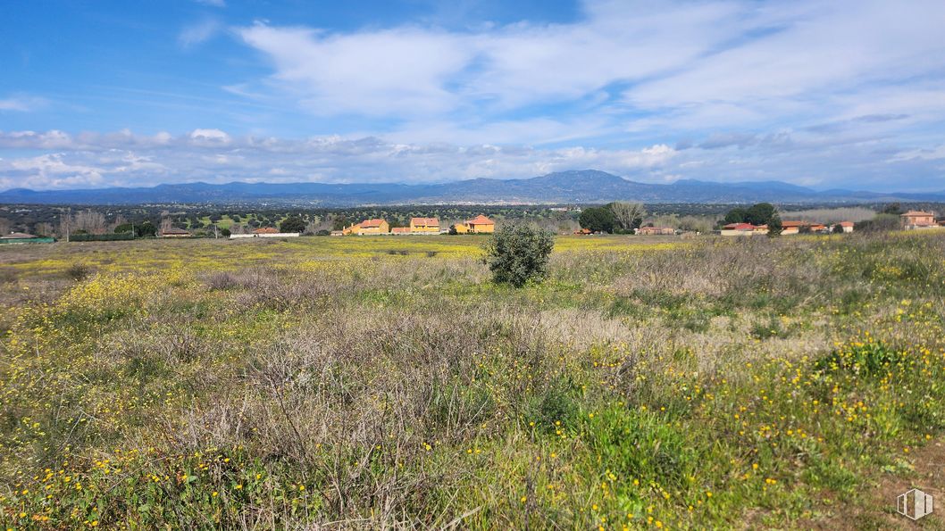 Land for sale at Zona Mirador de Fuente Romero, Hormigos, Toledo, 45919 with cloud, sky, plant, natural landscape, agriculture, plain, tree, mountain, grassland and grass around