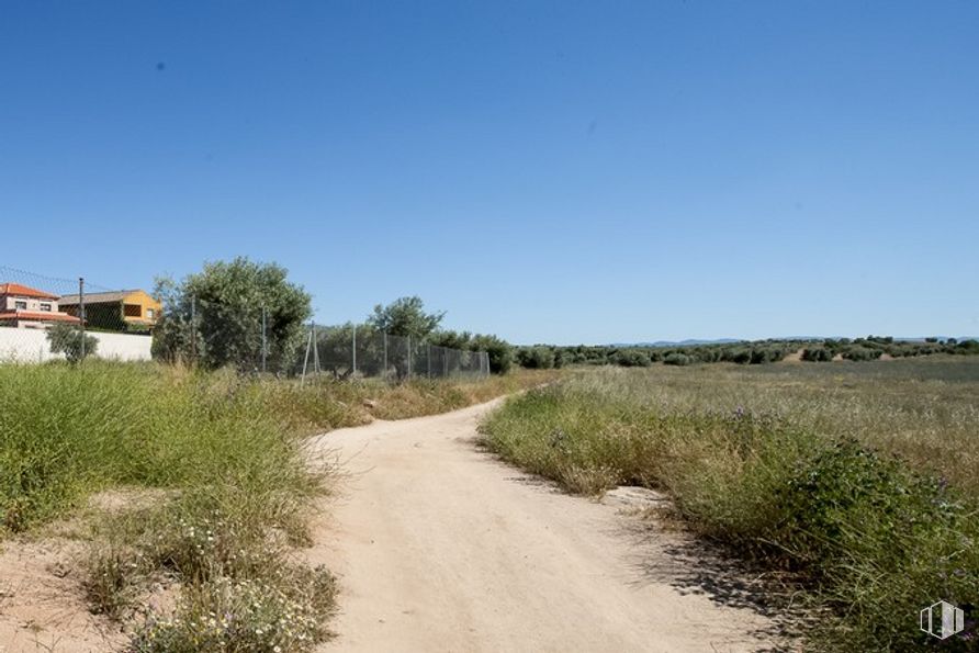 Suelo en venta en Camino Fuente Cordel, Argés, Toledo, 45122 con casa, cielo, planta, comunidad de plantas, paisaje natural, árbol, terreno, superficie de la carretera, asfalto y pastizal alrededor