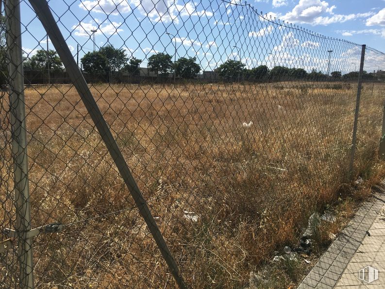 Land for sale at Calle Arroyo de la Bulera, Villaverde, Madrid, 28021 with cloud, sky, plant, fence, tree, land lot, natural landscape, mesh, wire fencing and grass around