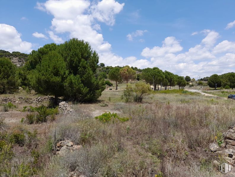 Suelo en venta en Carretera Robledo Chavela, 4, Cebreros, Ávila, 05260 con plantas, vegetación, ecorregión, arbusto, pradera, comunidad vegetal, lote de terreno, matorral, planta leñosa y reserva natural alrededor