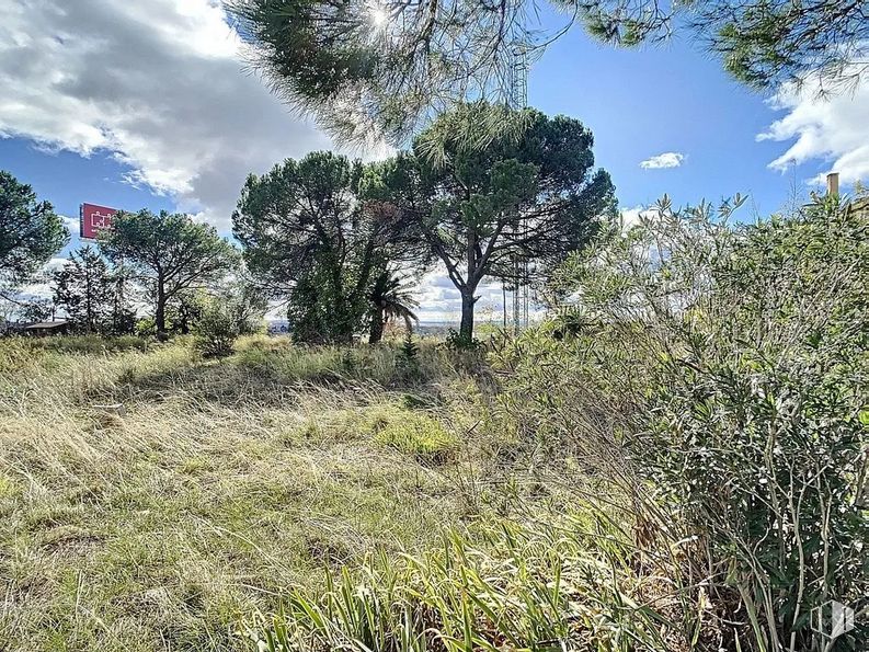 Suelo en venta en Carretera Coruña, Las Rozas de Madrid, Madrid, 28290 con nube, planta, cielo, comunidad de plantas, paisaje natural, árbol, rama, terreno, pastizal y planta leñosa alrededor