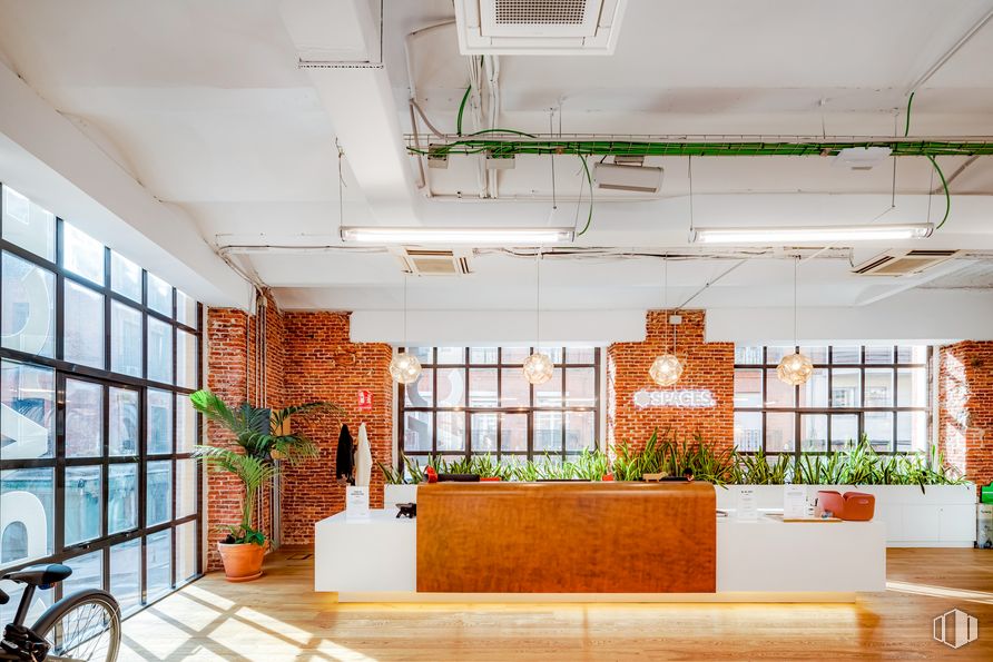 Office for rent at Spaces Río, Calle Manzanares, 4, Arganzuela, Madrid, 28005 with houseplant, lighting, bicycle, plant, building, flowerpot, window, wheel, tire and interior design around