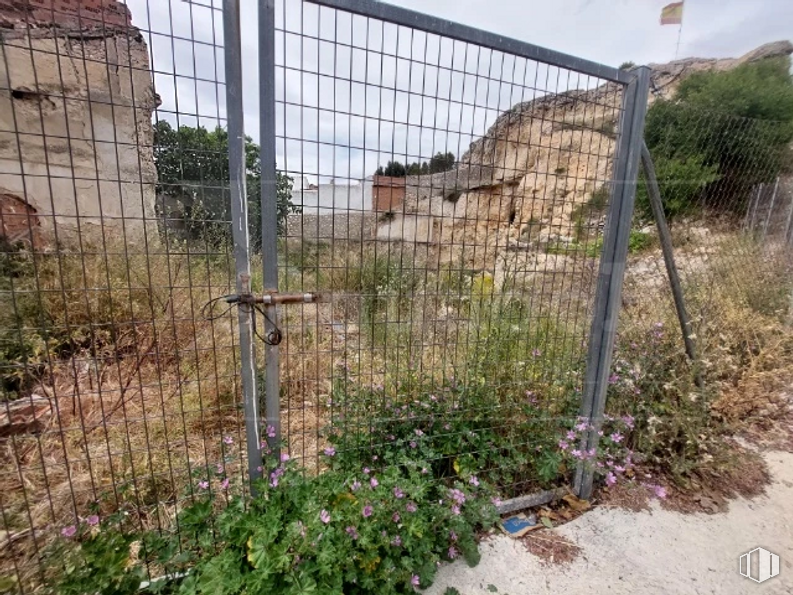 Land for sale at Travesía Castillejo, 15, Los Santos de la Humosa, Madrid, 28817 with animal, plant, sky, fence, land lot, wire fencing, biome, flower, grass and landscape around