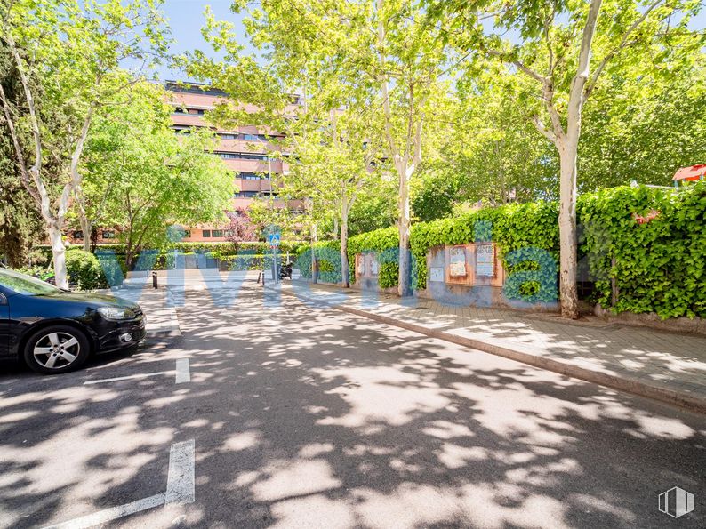 Local en venta en Calle Galeón, Barajas, Madrid, 28042 con coche, rueda, neumático, planta, vehículo, edificio, superficie de la carretera, árbol, asfalto y vehículo de motor alrededor