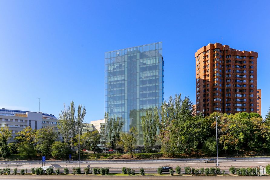 Office for rent at Torre Spínola, Cardenal Marcelo Spinola, 42, Chamartín, Madrid, 28016 with building, sky, plant, daytime, skyscraper, window, natural environment, infrastructure, tree and botany around