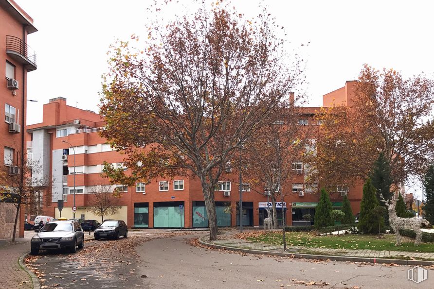 Local en alquiler en Avenida de los Fresnos, 22, Torrejón de Ardoz, Madrid, 28850 con coche, edificio, planta, cielo, ventana, propiedad, día, vehículo, árbol y neumático alrededor