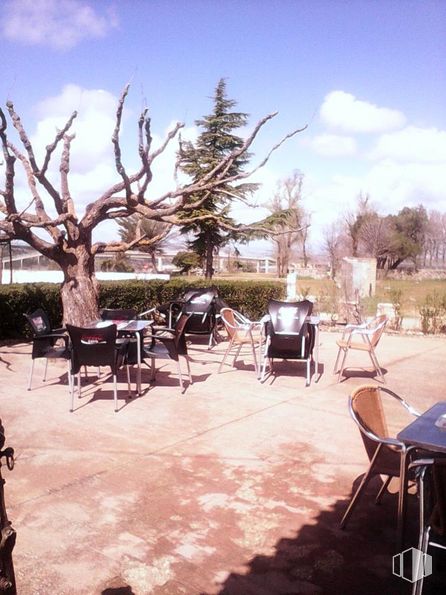 Retail for sale & for rent at Carretera Madrid-Burgos, Honrubia de la Cuesta, Segovia, 40541 with chair, table, cloud, sky, furniture, outdoor furniture, wood, shade, tree and outdoor table around