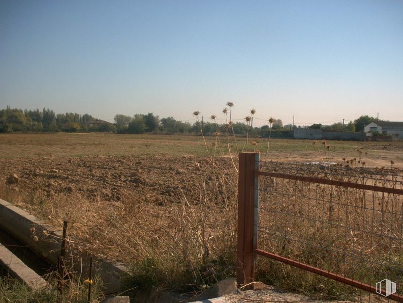 Land for sale at Polígono 2 Parcela, 352, Talavera de la Reina, Toledo, 45600 with sky, plant, natural landscape, fence, tree, land lot, vegetation, agriculture, grass and plain around