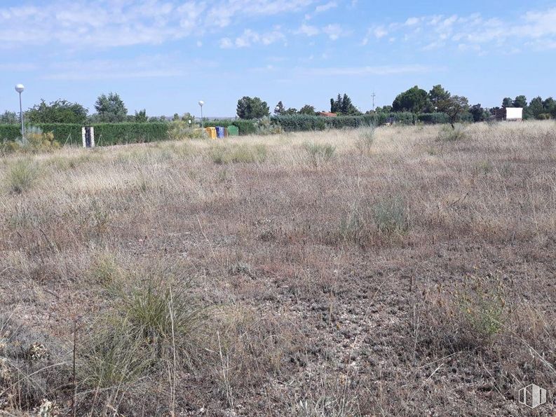 Land for sale at Urbanización El Cuartillejo, Illana, Guadalajara, 19119 with sky, plant, cloud, tree, land lot, natural landscape, grassland, grass, plain and landscape around