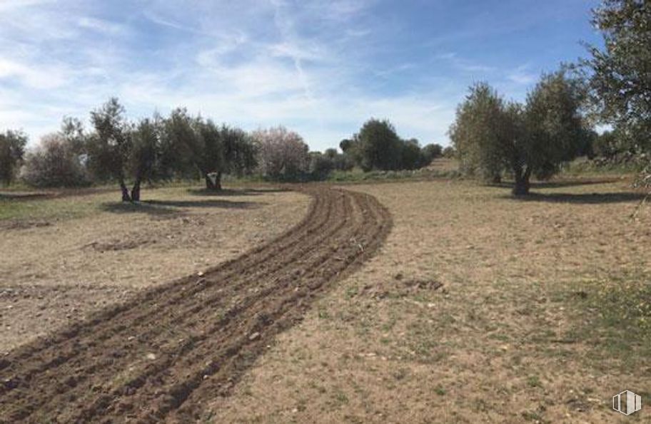 Land for sale at Polígono 28 Parcela 33, Villamuelas, Toledo, 45749 with cloud, sky, plant, tree, natural landscape, wood, agriculture, grass, road surface and landscape around