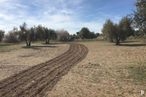 Land for sale at Polígono 28 Parcela 33, Villamuelas, Toledo, 45749 with cloud, sky, plant, tree, natural landscape, wood, agriculture, grass, road surface and landscape around