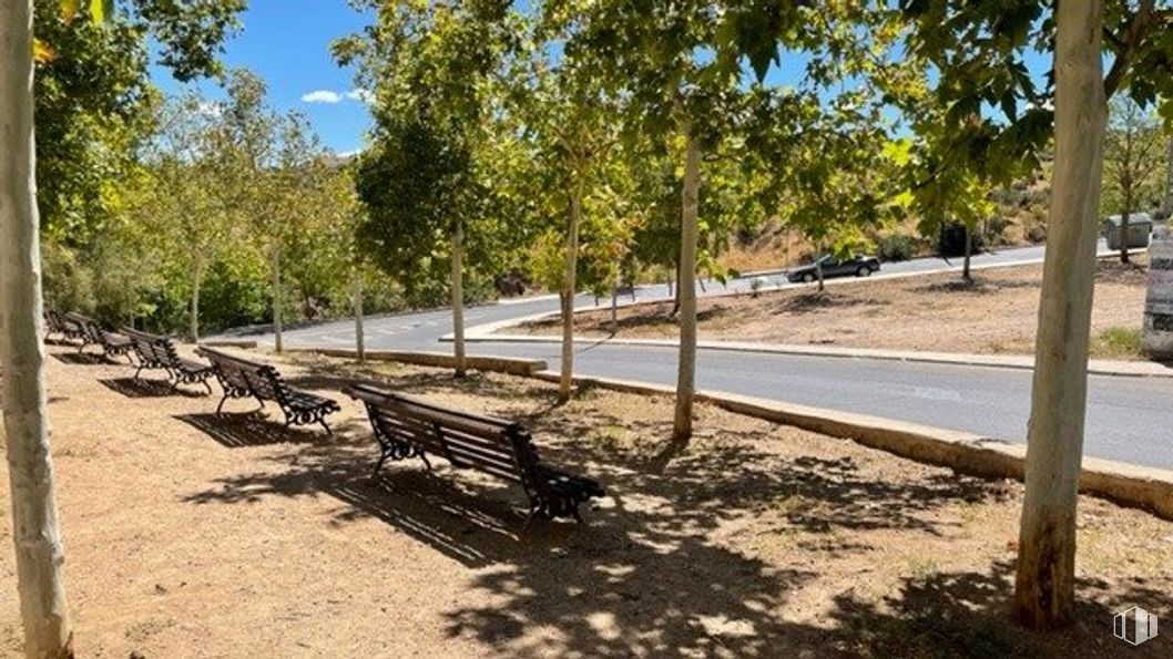 Retail for sale & for rent at Zona Santa Bárbara, Toledo, 45006 with bench, sky, outdoor bench, plant, leaf, shade, road surface, wood, branch and sunlight around