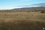 Land for sale at Prado Bonal, Polígono 6 Parcela 7, Segovia, 40006 with animal, sky, cloud, plant, natural landscape, mountain, grass, horizon, tree and plain around