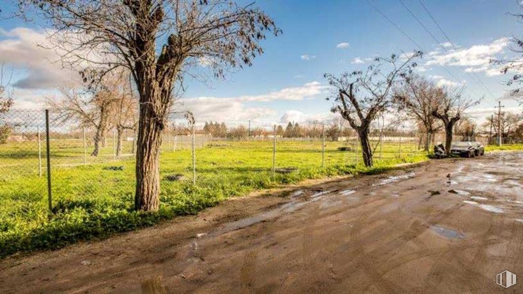 Land for sale at Avenida Aragón - Parcela T.3.5.402, 14, San Blas - Canillejas, Madrid, 28022 with cloud, sky, plant, wood, natural landscape, tree, land lot, road surface, grass and asphalt around