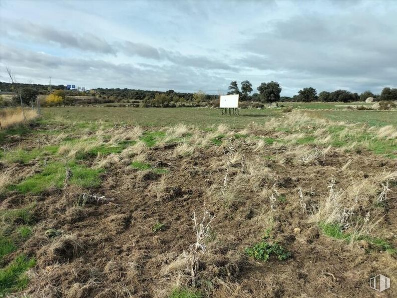 Land for sale at Vicolozano, Ávila, 05194 with cloud, sky, plant, natural landscape, tree, agriculture, plain, grassland, landscape and grass around