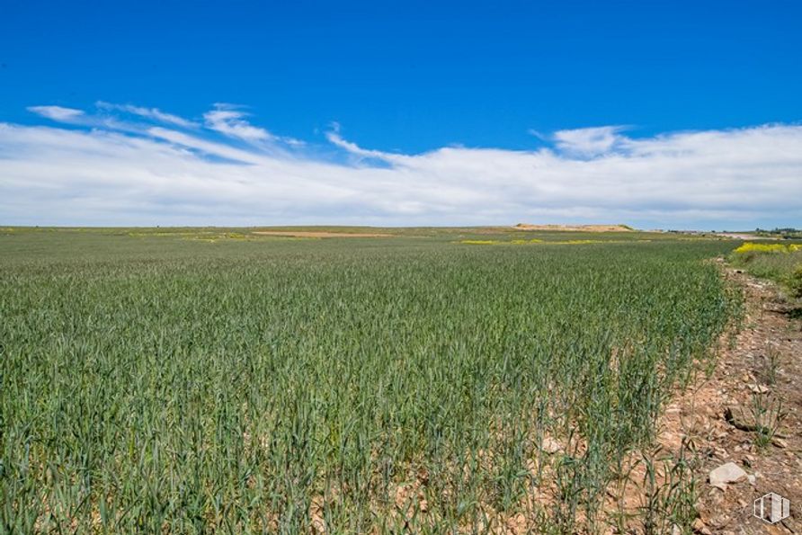 Suelo en venta en Las Zumaqueras, La Lastrilla, Segovia, 40196 con cielo, nube, planta, paisaje natural, agricultura, hierba, pastizal, árbol, prado y horizonte alrededor