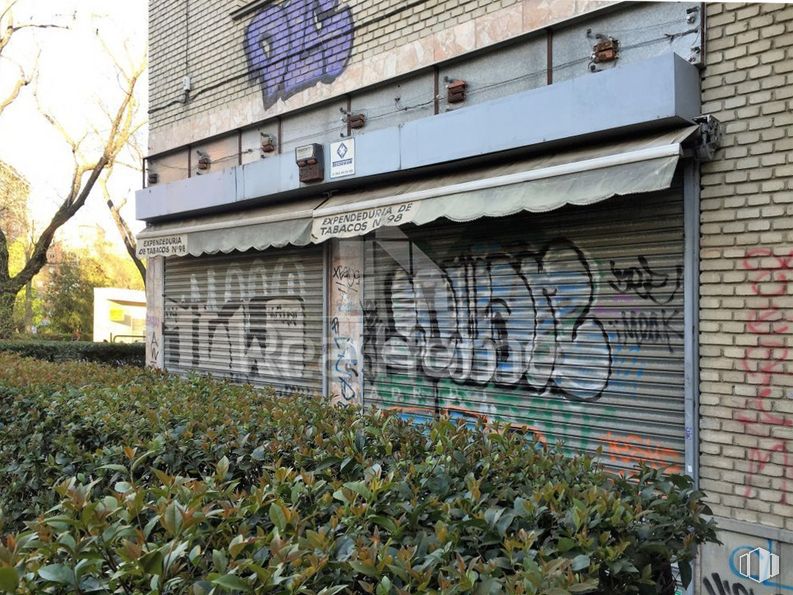 Local en venta en Barrio Aluche, La Latina, Madrid, 28047 con animal, edificio, planta, día, árbol, albañilería, ladrillo, barrio, espacio público y pared alrededor