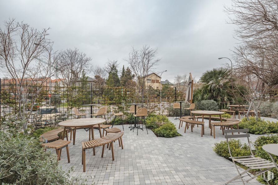 Oficina en alquiler en Calle Eucalipto, 25, Chamartín, Madrid, 28016 con mesa, planta, cielo, nube, mueble, edificio, árbol, paisaje natural, espacio público y diseño urbano alrededor