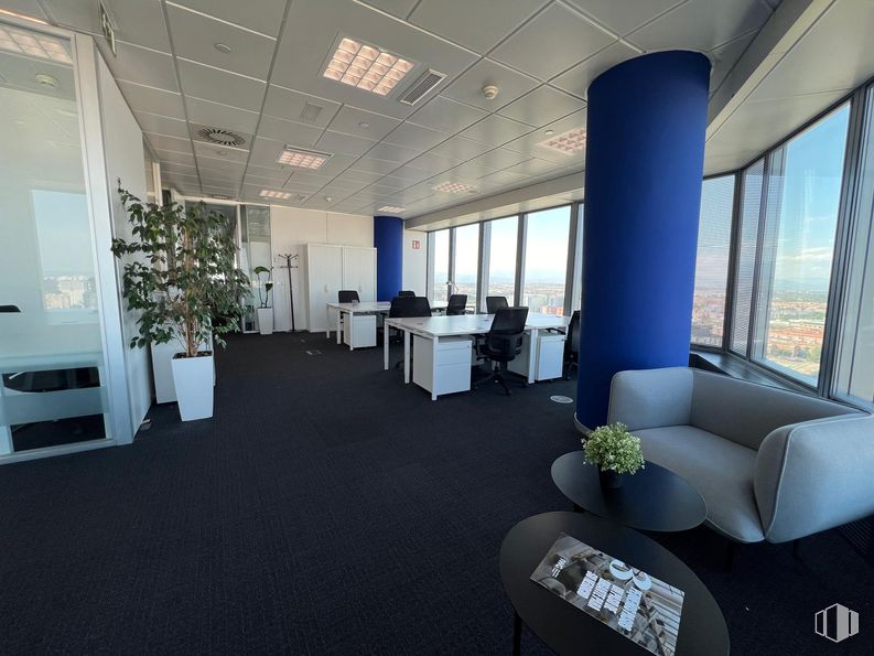 Oficina en alquiler en Torre Cristal, Regus Torre Cristal, Paseo Castellana, 259 C, Fuencarral - El Pardo, Madrid, 28046 con sofá, planta de interior, silla, ventana, mueble, mesa, planta, interiorismo, edificio y suelo alrededor