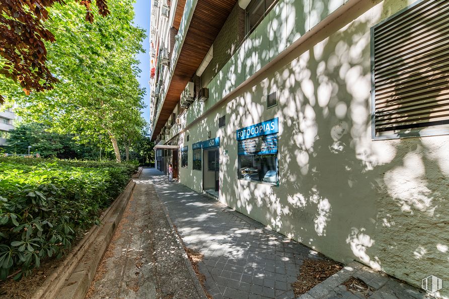 Local en venta en Calle Orense, Tetuán, Madrid, 28020 con planta, superficie de la carretera, ventana, edificio, madera, barrio, diseño urbano, árbol, asfalto y acera alrededor