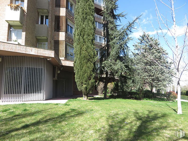 Oficina en alquiler en Calle Condado de Treviño, 9, Ciudad Lineal, Madrid, 28033 con ventana, edificio, planta, cielo, nube, césped, vegetación, lote de tierra, árbol y vecindario alrededor