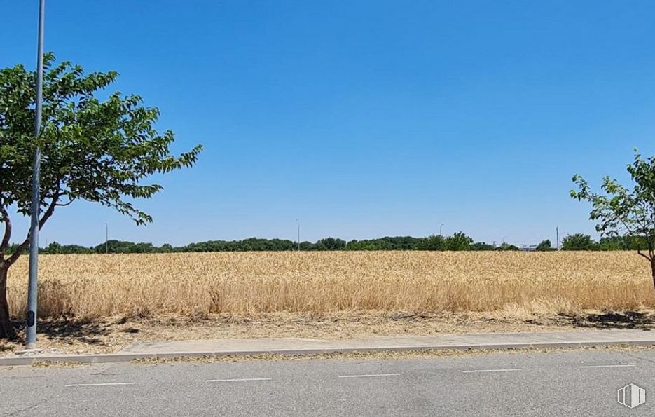 Suelo en alquiler en Calle Sierra de Moncayo, Illescas, Toledo, 45200 con planta, cielo, ecorregión, azure, paisaje natural, árbol, lote de terreno, asfalto, hierba y llano alrededor