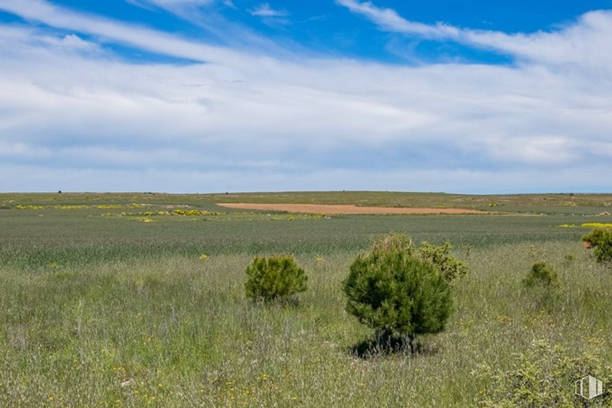 Suelo en venta en Las Zumaqueras, La Lastrilla, Segovia, 40196 con nube, cielo, planta, paisaje natural, agricultura, paisaje, cúmulo, horizonte, zona rural y árbol alrededor