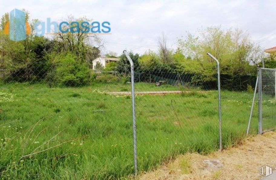 Land for sale at Calle Castillo Gormaz, Torrejón del Rey, Guadalajara, 19174 with cloud, plant, sky, plant community, land lot, vegetation, natural landscape, grass, wire fencing and fence around