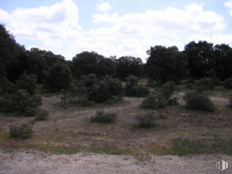 Land for sale at Calle Dehesa, Maello, Ávila, 05292 with cloud, sky, plant, natural landscape, tree, grassland, landscape, grass, terrestrial plant and soil around