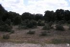 Land for sale at Calle Dehesa, Maello, Ávila, 05292 with cloud, sky, plant, natural landscape, tree, grassland, landscape, grass, terrestrial plant and soil around