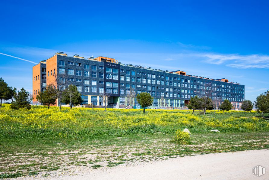 Oficina en alquiler en Soho Leganés, Calle Arquímedes, 3, Leganés, Madrid, 28914 con edificio, cielo, nube, planta, ventana, césped, paisaje natural, amarillo, árbol y diseño urbano alrededor