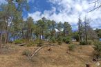 Land for sale at Zona Santa María de la Alameda, Santa María de la Alameda, Madrid, 28296 with cloud, plant, sky, natural landscape, tree, trunk, terrestrial plant, bedrock, landscape and grass around