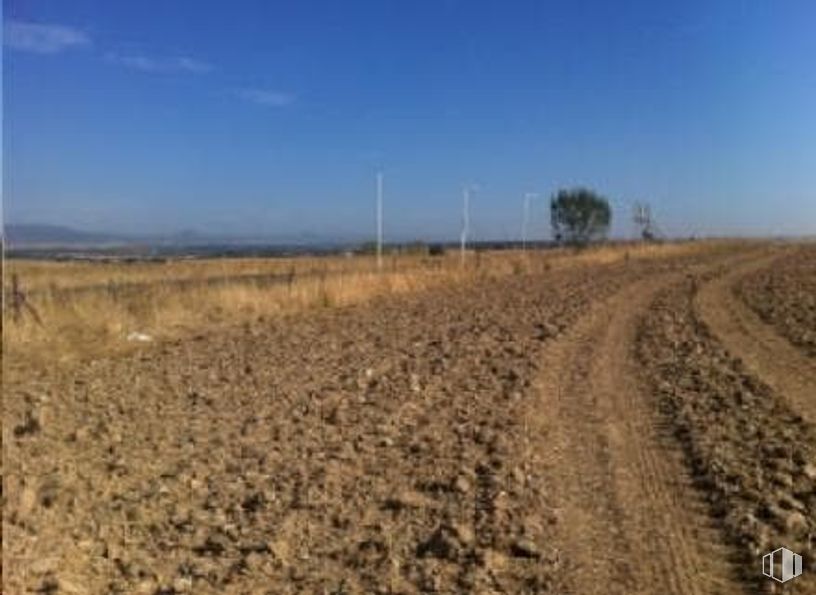 Land for sale at Polígono 9 Parcela 1, Escalona, Toledo, 16800 with horizon, plain, ecoregion, field, dirt road, soil, steppe, agriculture, plantation and shrubland around