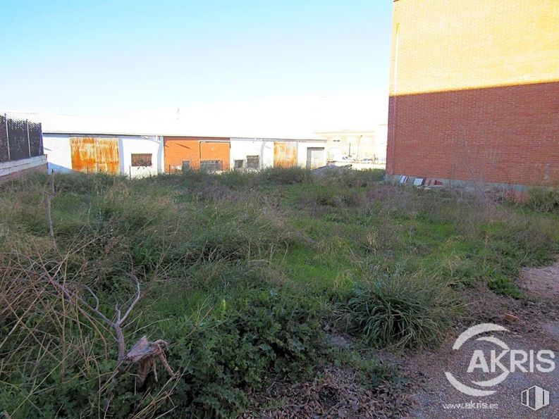 Industrial for sale at Calle Río Torviscal, Toledo, 45007 with animal, building, sky, plant, plant community, land lot, tree, grass, window and landscape around