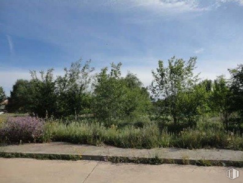 Land for sale at Calle Mérida Enclaves Coto, El Casar, Guadalajara, 19170 with plant, cloud, sky, natural landscape, road surface, grass, groundcover, asphalt, landscape and road around