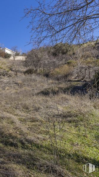 Land for sale at Zona Ensanche, Villar del Olmo, Madrid, 28512 with animal, plant, sky, branch, natural landscape, twig, slope, bedrock, tree and grass around