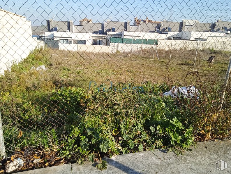 Oficina en venta en Avenida 25 de Noviembre, Moraleja de Enmedio, Madrid, 28950 con planta, comunidad vegetal, cielo, lote de terreno, vegetación, hierba, edificio, pendiente, cubierta vegetal y paisaje alrededor