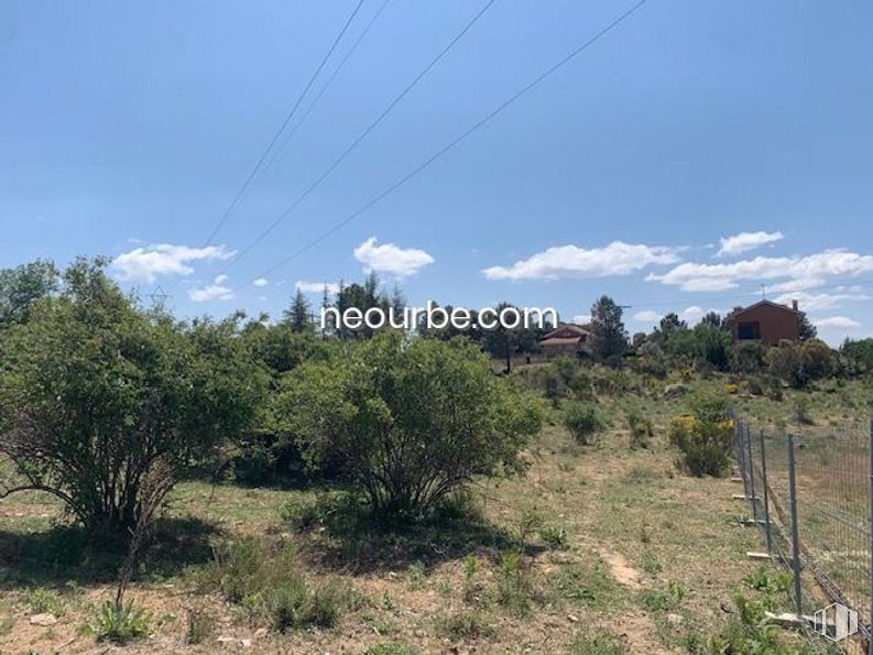 Land for sale at Casco urbano, Navalperal de Pinares, Ávila, 05240 with plant, cloud, sky, natural landscape, woody plant, plain, tree, grassland, grass and landscape around