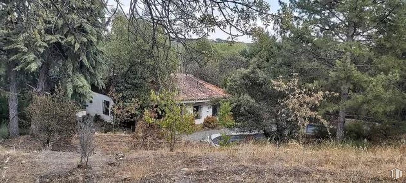 Suelo en venta en Calle Encina, Galapagar, Madrid, 28260 con planta, ventana, paisaje natural, casa, árbol, lote de terreno, edificio, casa rural, paisaje y hierba alrededor