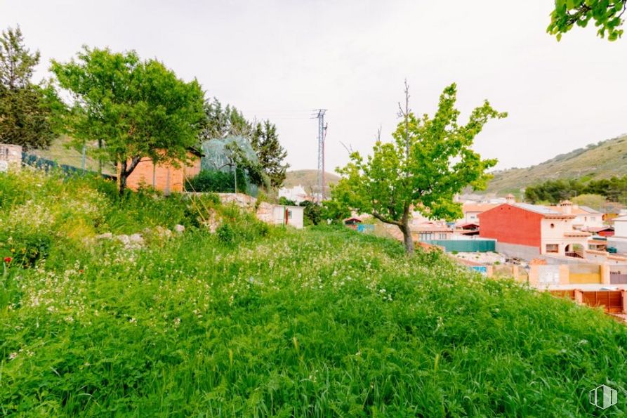 Land for sale at Calle San Roque, Valverde de Alcalá, Madrid, 28812 with plant, sky, plant community, natural landscape, building, tree, land lot, house, grass and landscape around