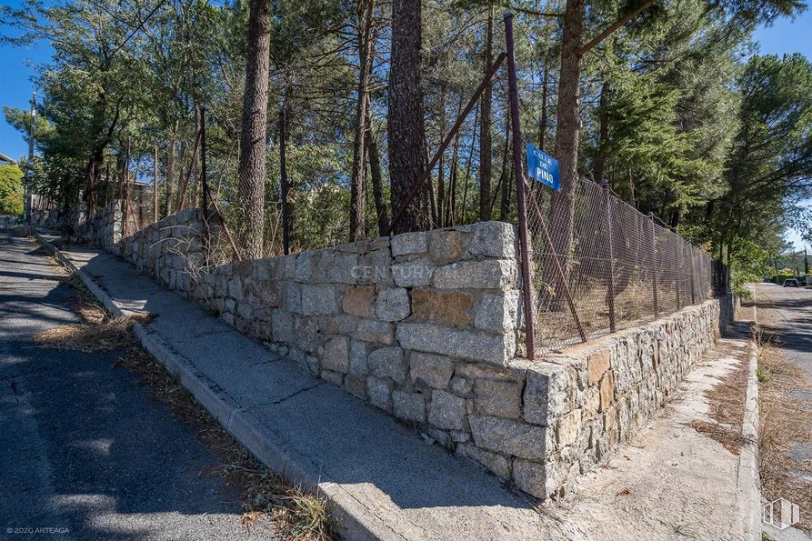 Land for sale at Calle Pino, Las Navas del Marqués, Ávila, 05239 with sky, road surface, tree, slope, land lot, wood, bedrock, trunk, stone wall and landscape around