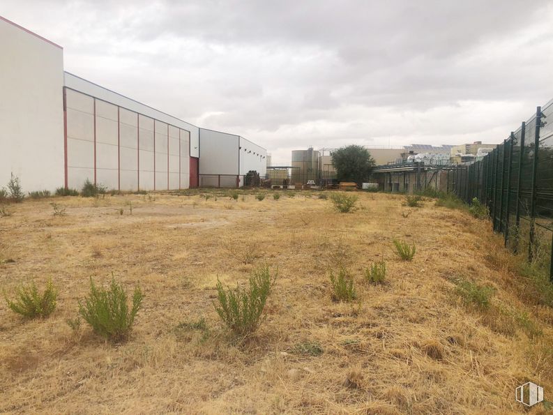 Suelo en venta en Carretera Ajalvir, Alcalá de Henares, Madrid, 28806 con edificio, cielo, nube, planta, propiedad, ecorregión, lote de terreno, árbol, hierba y pared alrededor