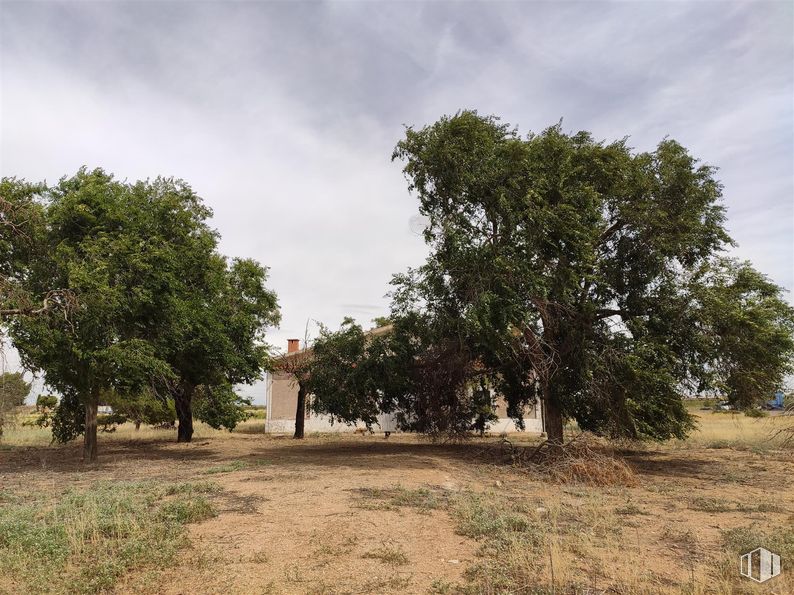 Land for sale at CM-410, Quintanar de la Orden, Toledo, 45800 with cloud, sky, plant, natural landscape, tree, building, house, land lot, grass and plain around