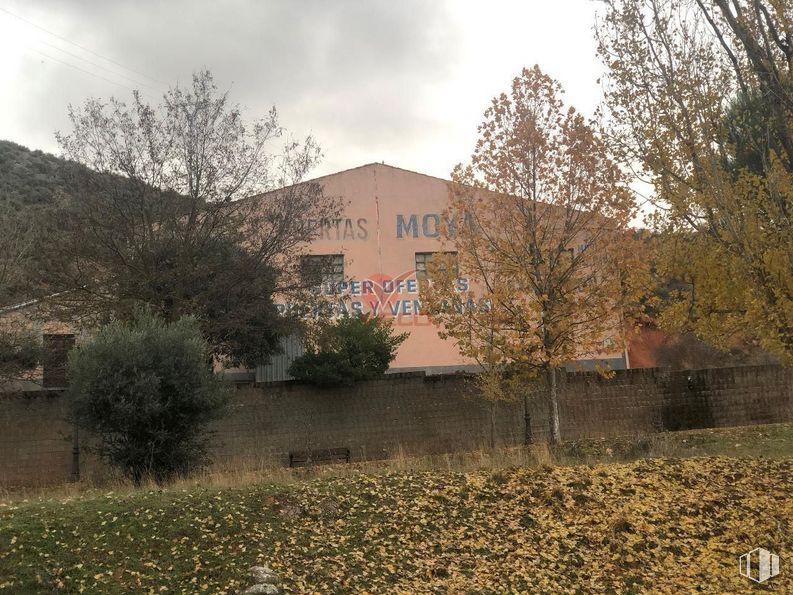 Industrial for sale at Calle Campo de Fútbol, Las Valeras, Cuenca, 16120 with house, window, cloud, sky, plant, building, natural landscape, branch, land lot and tree around