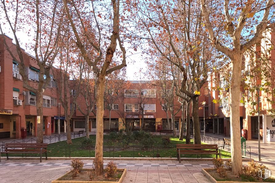 Local en alquiler en Plaza de Blas de Otero, 1, Rivas-Vaciamadrid, Madrid, 28529 con mesa de trabajo, edificio, planta, día, cielo, ventana, árbol, superficie de carretera, diseño urbano y área residencial alrededor